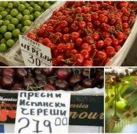 КАТО ЗА ПОСЛЕДНО: Пуснаха череши по 65 лева килото