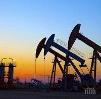 Търсенето на петрол отива към най-големия си срив в историята