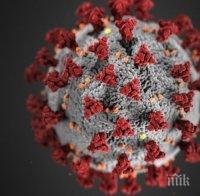 Потвърдените случаи на заразяване с коронавирус във Франция достигнаха 2 281