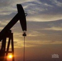 Експертна прогноза: Петролът ще поскъпне през втората половина на годината