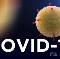 От СЗО с обяснение за високата смъртност сред заразените от коронавируса в Италия