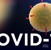 Заразените с коронавируса по света са над 145 000 в 145 държави