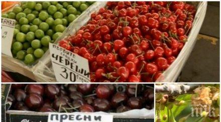 последно пуснаха череши лева килото