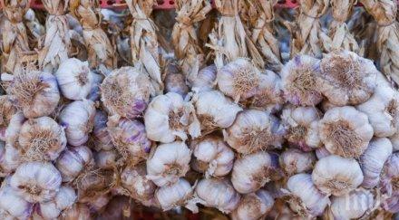 превенция чесън селен цинк активират имунитета