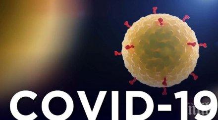 сзо обяснение високата смъртност сред заразените коронавируса италия