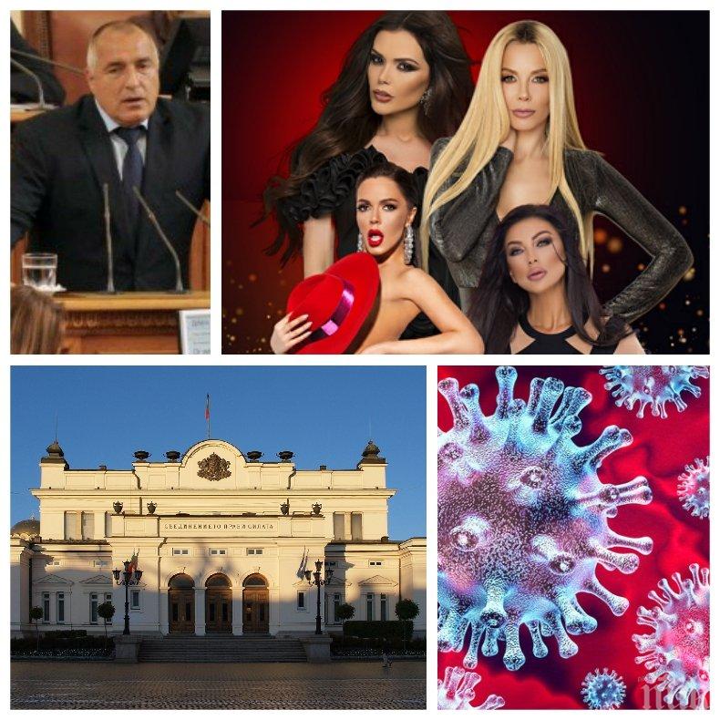 КРИЗА В ЖАНРА: Коронавирусът удари зловещо чалгата - армията на Митко Пайнера губи торби с пари заради китайската чума