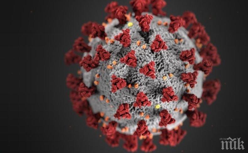 Потвърдените случаи на заразяване с коронавирус във Франция достигнаха 2 281