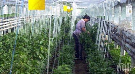 проблем covid изяжда дефицитната работна ръка