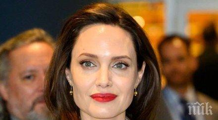 карантина джоли супер звездата презапасява храна