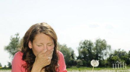 стига covid удрят алергии