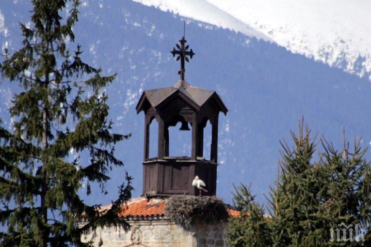 ДОБРА ПОЛИЧБА: В Банско кацна първият щъркел