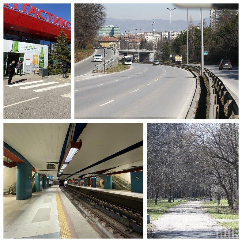 САМО В ПИК! 5-ти ден от извънредното положение - столичани стават все по-дисциплинирани (ФОТОРЕПОРТАЖ)