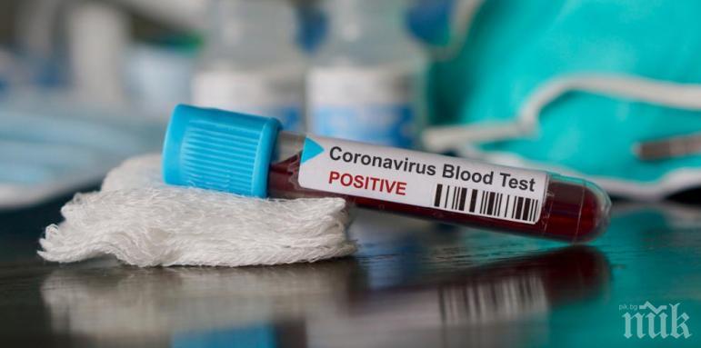 Учени откриха - ето колко може да живее коронавирусът