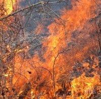 Пожар пламна в планината край село Плана