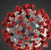 Русия тества шест ваксини за коронавируса