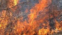 Пожар пламна в планината край село Плана