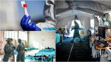 Близо 800 души починаха от COVID-19 за ден