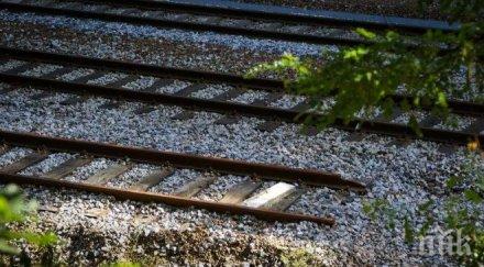 влак прегази годишна пастирка