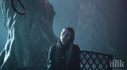 невероятен карък медиите нидерландия обявиха българия победител евровизия видео