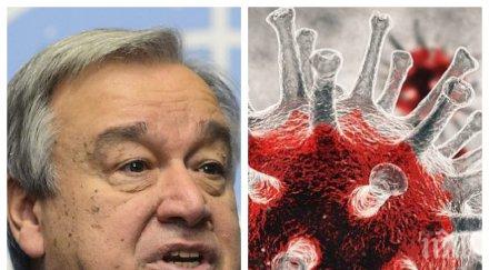 оон алармира covid убие милиони