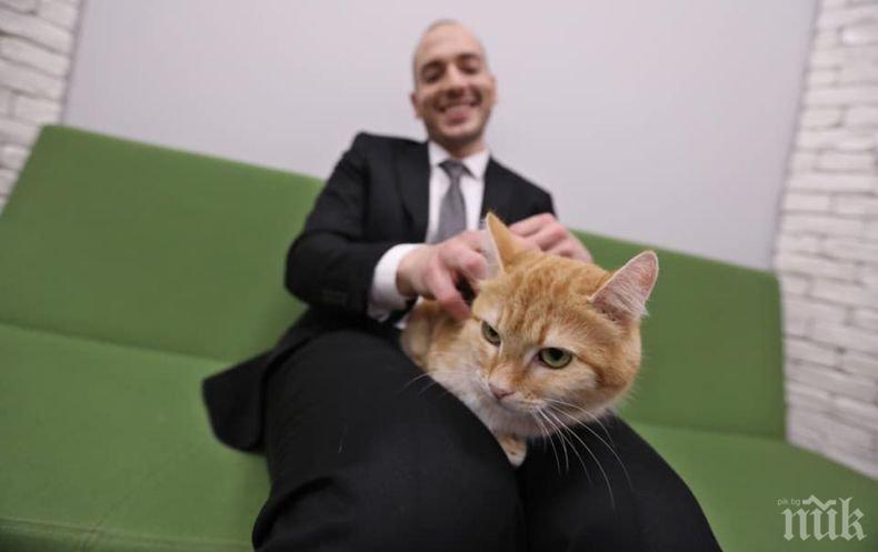 КЪСМЕТЛИЯ: Младо семейство осинови котето Портокал от шоуто на Николаос Цитиридис (СНИМКИ)