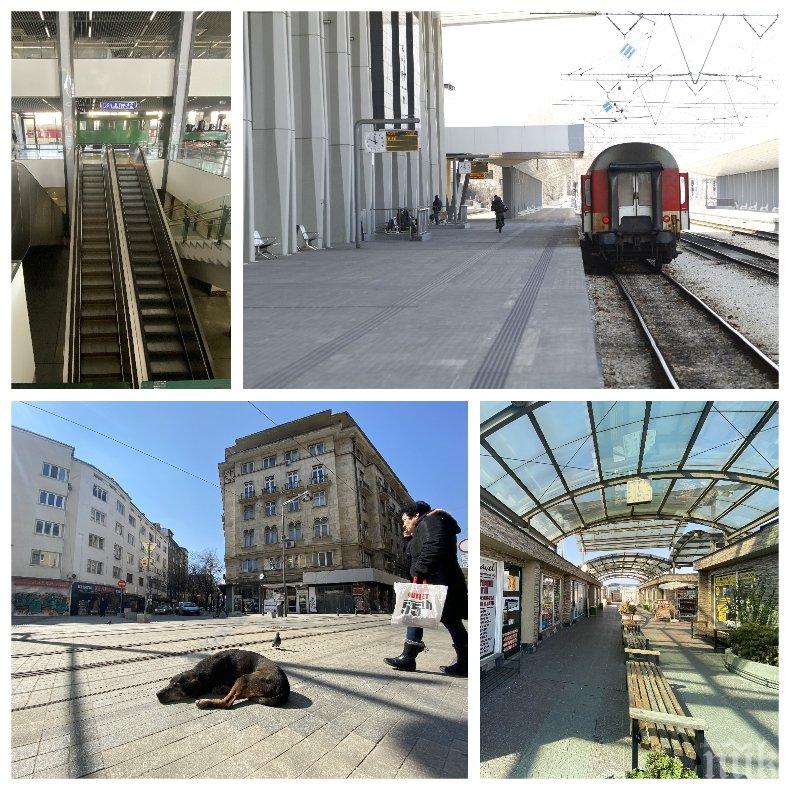 САМО В ПИК: Ден седми от извънредното положение - храбри пенсионери плъзнаха за пенсии из София. На жп гарата врабчетата са повече от пътниците (ФОТО РЕПОРТАЖ)
