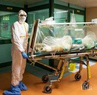 Италиански лекар: Феновете на Аталанта се превърнаха в истинска биологична бомба, което допринесе за разпространението на коронавируса 