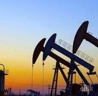 Китай се запасява с евтин нефт