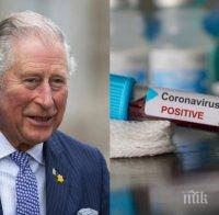 ИЗВЪНРЕДНО: Принц Чарлз е с коронавирус (ОБНОВЕНА)