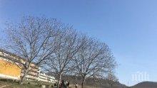 Цигани нарушават карантината в Девня - цъкат комар в изоставена беседка
