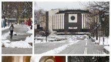 САМО В ПИК! Нова мода: След истерията с тоалетната хартия софиянци се запасяват и с руска водка! Но хората на Путин обориха мита, че питието е лек срещу COVID-19 (ФОТОРЕПОРТАЖ)