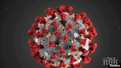 умбал марина съобщиха пациентите коронавирус варна