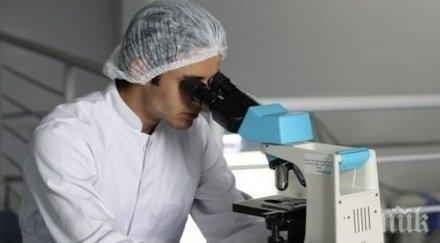 учени откриха протича заздравяването рани