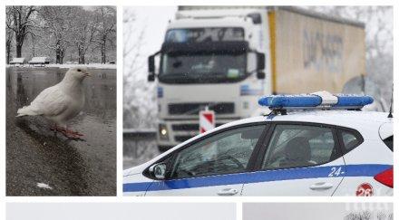 пик добра поличба бели гълъби полетяха борисовата градина снегът поръчка залости софиянци домовете вижте положението кпп тата фоторепортаж