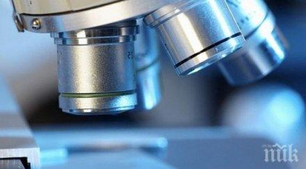 подобно червей животно вероятно предшественикът повечето животински видове