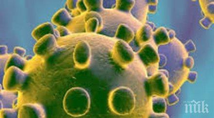 лидерите видеоконференция коронавируса