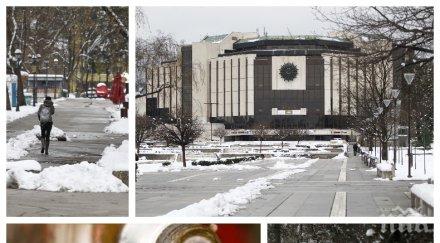 пик нова мода истерията тоалетната хартия софиянци запасяват руска водка хората путин обориха мита питието лек covid фоторепортаж