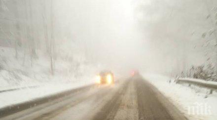 важно проходът петрохан почистен струпване коли враца