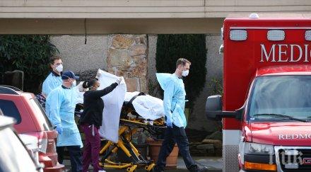 годишната ема бори covid