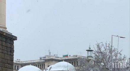 катунът министерски съвет срина палатките спомен снимки