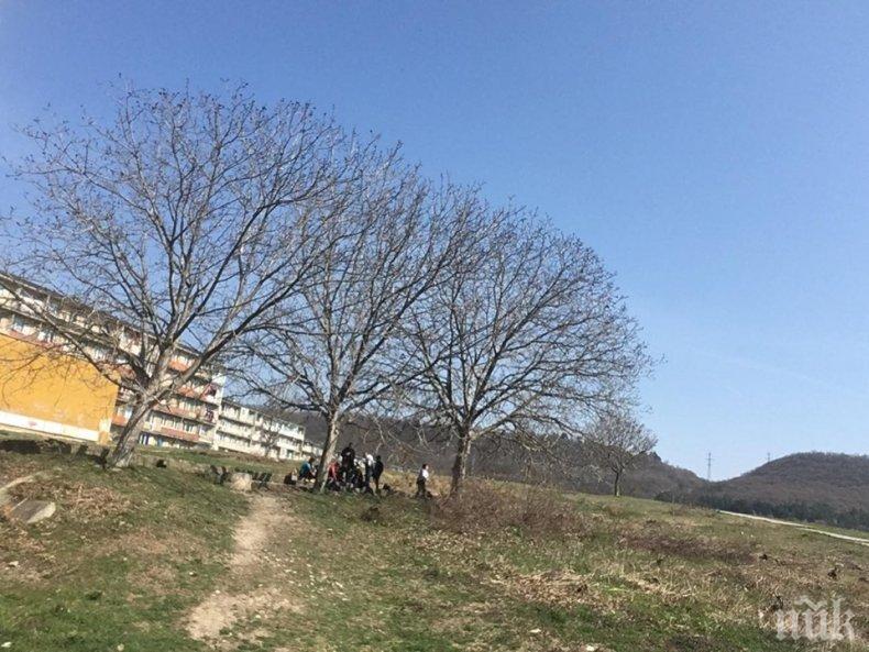 Цигани нарушават карантината в Девня - цъкат комар в изоставена беседка