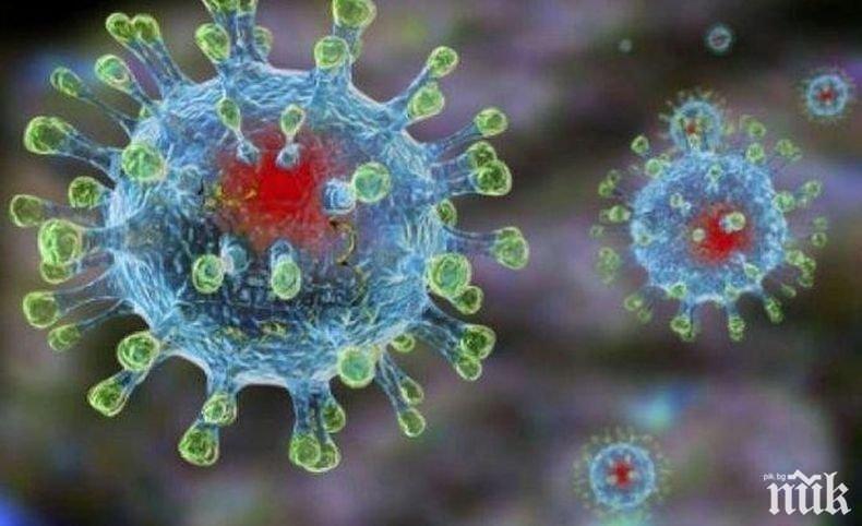 Страшна гледка - ето как изглежда коронавирусът в триизмерен модел (СНИМКА)