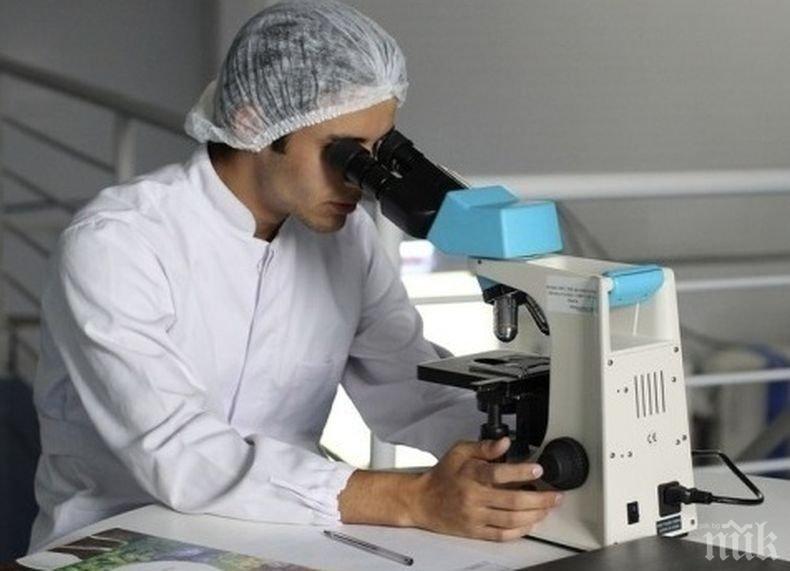 Учени откриха как протича заздравяването на рани