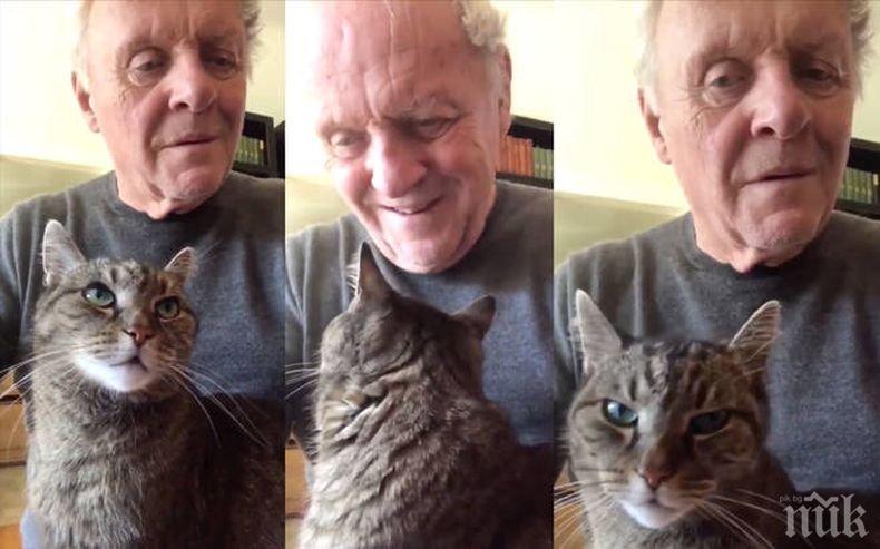 Котката на Антъни Хопкинс стана мега звезда - 14 милиона са гледали ВИДЕОТО с Нибло