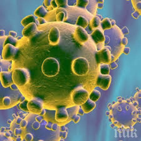 Лидерите на Г-20 с видеоконференция за коронавируса