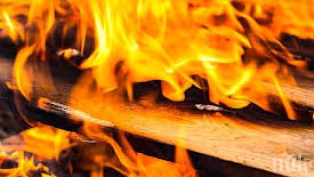 Обор с 18 животни изгоря посред нощ в Харманли