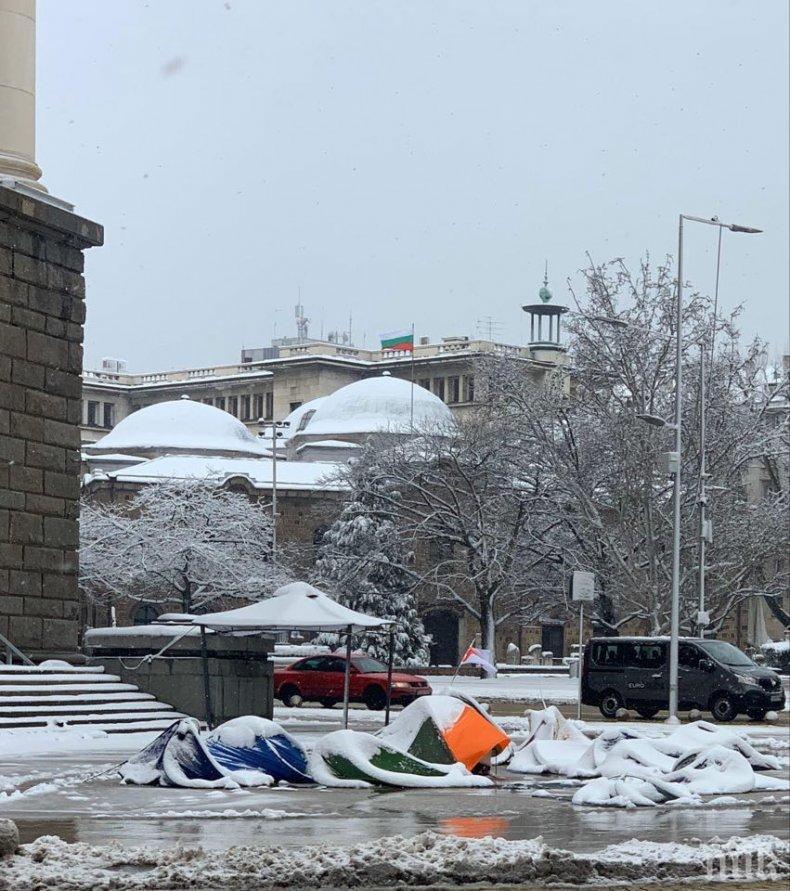 Катунът пред Министерски съвет се срина, палатките са само спомен (СНИМКИ)