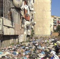 Събраха над 400 000 кг отпадъци в 