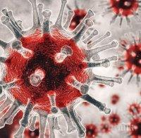 Случаите на коронавирус в света са над 664 000