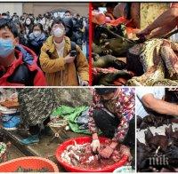 ОПАСНО: Ето откъде тръгват заразите в Китай - търговията с диви животни още не е забранена